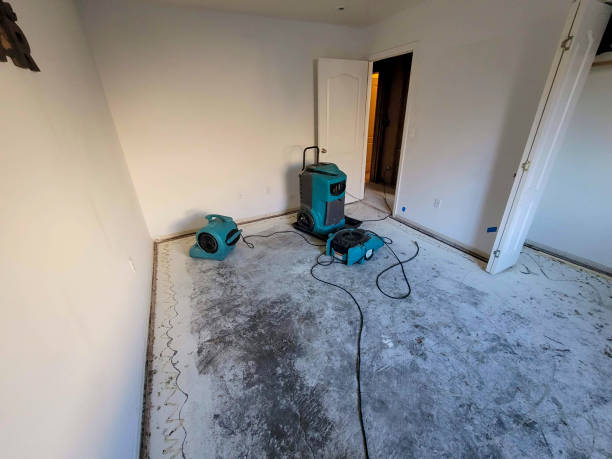 Best Ceiling water damage repair  in Marion Oaks, FL
