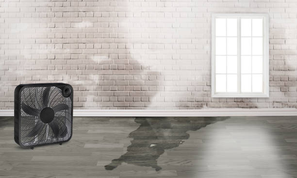 Water damage restoration process in FL