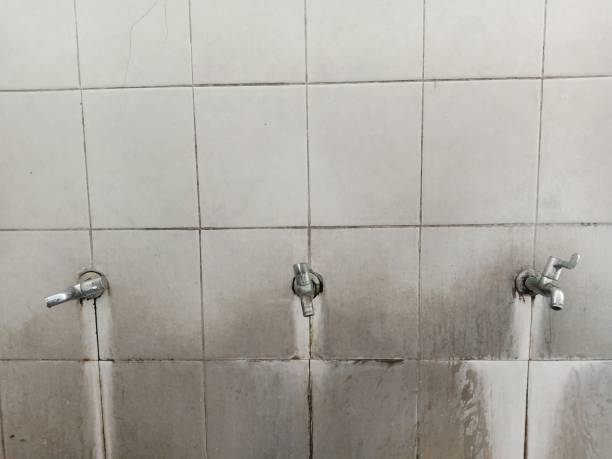 Best Flood restoration services  in Marion Oaks, FL