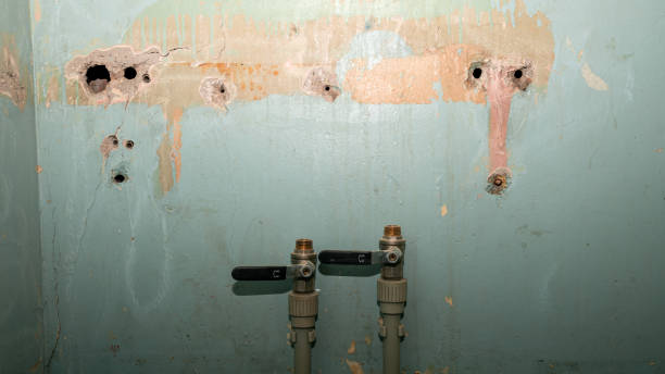 Best Fire Damage Restoration  in Marion Oaks, FL