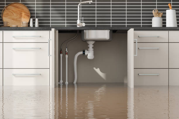 Best Carpet water damage restoration  in Marion Oaks, FL